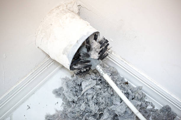 Air Duct Mold Removal in GA